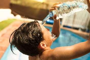 Cooling off in the heat. Photo by ojos de hojalata. iStock / Getty Images Plus