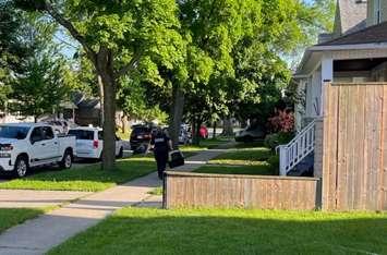 Authorities remove approximately 30 dogs from a property on Harkness Street in Sarnia. May 22, 2024. Submitted photo.