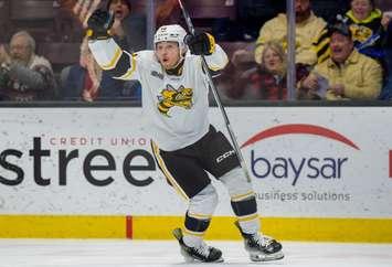 Liam Beamish celebrates a goal for the Sarnia Sting - Dec. 11/24 (Photo courtesy of Metcalfe Photography) 