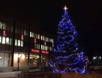 Sarnia City Hall Christmas tree at night. Blackburn News.com file photo.