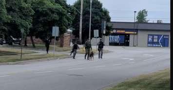 Sarnia police and OPP Canine Unit investigate armed robbery June 10/18.  Photo submitted by Orval Deboer.