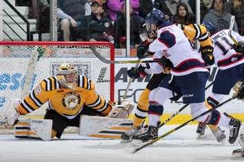 Sarnia Sting goalie Justin Fazio stretches for a save against the Saginaw Spirit on Feb 20, 2017 (Photo courtesy of Metcalfe Photography)