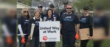 Employees from Farm Credit Canada taking part the Sarnia-Lambton United Way Day of Caring. November 19, 2019. (BlackburnNews.com photo by Colin Gowdy)