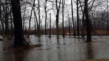 Flooding in areas of Sarnia's Canatara Park. BlackburnNews.com File Photo