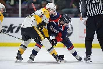 The Windsor Spitfires take on the Sarnia Sting, December 28, 2017. (Photo courtesy of Metcalfe Photography)