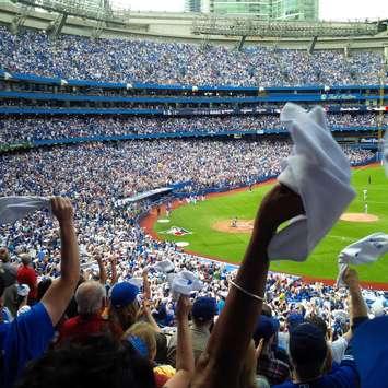 Toronto Blue Jays. Submitted photo. 