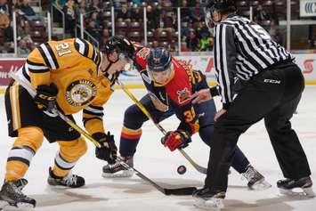 Ryan McGregor of the Sarnia Sting (left) fights for a faceoff puck against Gera Poddubnyi of the Erie Otters at Progressive Auto Sales Arena in Sarnia, Nov 19, 2016 (Photo courtesy of Metcalfe Photography)
