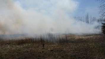 A Grass Fire Near Howard Watson Nature Trail Apr 18/16 (Photo Courtesy of Sarah Woodley)