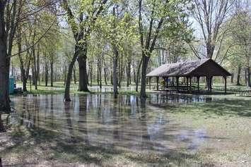 Flooding. Photo courtesy of the St. Clair Region Conservation Authority.