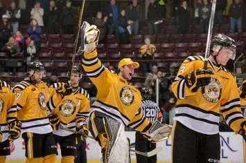 Justin Fazio and the Sting celebrate a win against Sault Ste. Marie during the 2016 playoffs. (Metcalfe Photography)