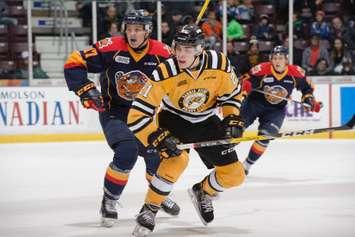 Adam Ruzicka of the Sarnia Sting follows the play in front of Taylor Raddysh of the Erie Otters (left) at Progressive Auto Sales Arena in Sarnia, Nov 19, 2016 (Photo courtesy of Metcalfe Photography)
