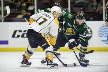 Sarnia Sting forward Drake Rymsha wins a faceoff against the London Knights (Photo by Metcalfe Photography)
