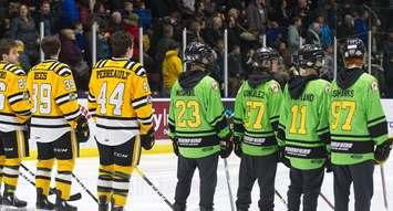 Lambton Sting AAA Hockey Club players in their green Face-Off jerseys next to the Sarnia Sting. (Photo from the hockey club's facebook page)