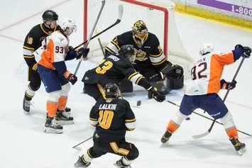 The Sarnia Sting take on the Flint Firebirds from The Hive.  8 January 2022.  (Metcalfe Photography)