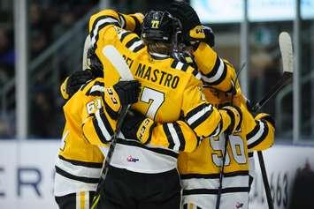 The Sarnia Sting celebrate a goal versus the Kitchener Rangers.  Jan 21, 2023. Photo by Metcalfe Photography.