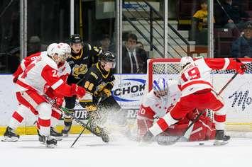 Sting vs Greyhounds, Mar 1/20.  (Photo courtesy of Metcalfe Photography)