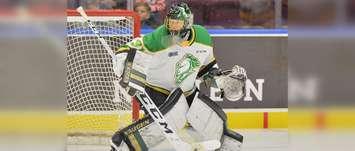 Sarnia Sting acquire goaltender Jordan Kooy from the London Knights Oct. 29, 2019. (Photo from CHL Images)