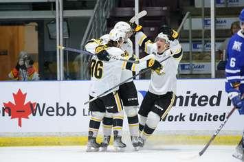 Sarnia Sting against Mississauga Nov 23, 2022. Photo by Metcalfe Photography. 