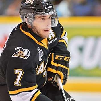 Anthony DeAngelo
(OHL Photo)