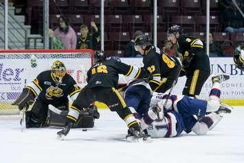Sting vs Spirit March 25/22, Photo courtesy of Metcalfe Photography. 