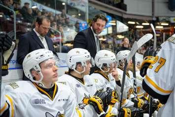 Sarnia Sting bench during a game against the London Knights. 29 December 2019. (Photo by Metcalfe Photography)