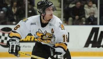 NHLer Micheal Haley during his time with the Sarnia Sting (Photo by Metcalfe Photography)
