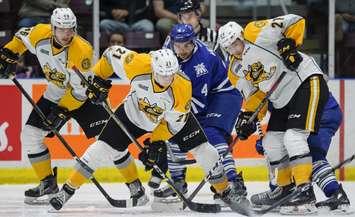 Sarnia Sting vs Mississauga Steelheads. October 14, 2018. (photo by Metcalfe Photography)