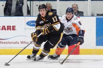 Travis Konecny in action against the Flint Firebirds (Photo courtesy of Metcalfe Photography)