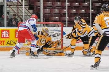 Taylor Dupuis backstops the Sting to a 3-0 shutout of the Rangers Feb. 5, 2015 (Photo courtesy of Metcalfe Photography)