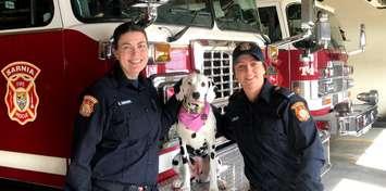 Sarnia firefighters Kim Lucier (left), and Hannah Welch (right) alongside Clover the firedog. March 7, 2019. (Photo by Sarnia Fire)