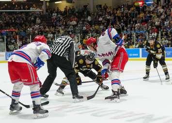 The Sarnia Sting lose to the Rangers April 12/18. Photo Courtesy of Metcalfe Photography)