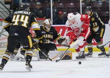 The Sarnia Sting take on the Greyhounds Jan 3, 2019. (Photo courtesy of Metcalfe Photography)