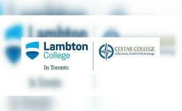 Lambton College In Toronto/CESTAR COLLEGE logo.
