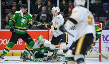 The Sarnia Sting against the London Knights - Dec 29/19 (Photo courtesy of Metcalfe Photography)