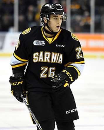 Franco Sproviero of the Sarnia Sting. Photo by Aaron Bell/OHL Images