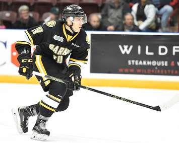 Anthony Salintri of the Sarnia Sting. (Photo courtesy of Aaron Bell via OHL Images)