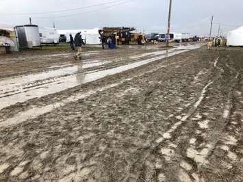 Muddy fields at the IPM in Pain Court. September 20, 2018. (Photo courtesy of Amanda Thibodeau)