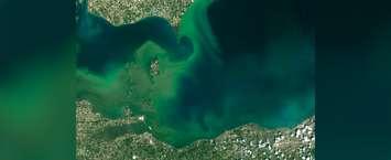 Lake Erie, July 28, 2015. (NASA Earth Observatory image by Joshua Stevens)