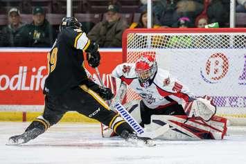 Sting vs Spitfires Feb. 7 / 20. Photo courtesy of Metcalfe Photography. 