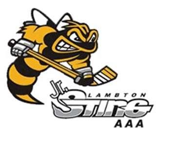 Lambton Jr Sting AAA logo. 