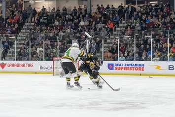 Sarnia Sting against London Knights December 30, 2022. Photo by Metcalfe Photography.
