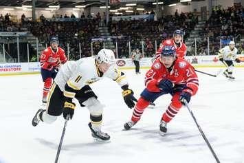 Sarnia Sting against Oshawa December 2, 2022. Photo by Metcalfe Photography.