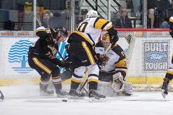 The Sarnia Sting Beat Hamilton 4-2 in OHL Play - Jan 11/17 (Photo Courtesy of Metcalfe Photography)