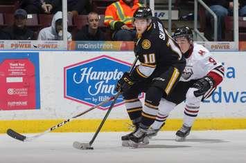 The Sarnia Sting take on the Guelph Storm, February 15, 2017. (Photo courtesy of Metcalfe Photography)
