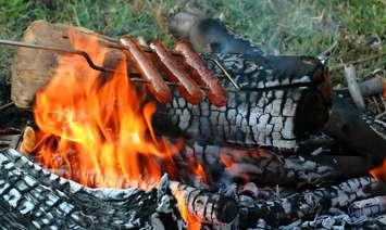 Hot dogs roasting over a campfire. © Can Stock Photo / who10