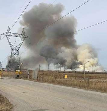 Controlled Phragmites burn near LGS. March 27, 2019. (Photo provided by Tammy and Bill Warner)