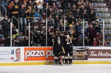 Sting players celebrate after scoring a goal. Photo by Metcalfe Photography