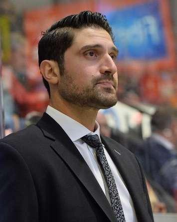 Sarnia Sting Assistant Coach Mark Mancari - Photo by Terry Wilson / OHL Images.