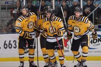 Travis Konecny celebrates a goal with his Sting teammates. (Photo by Metcalfe Photography)