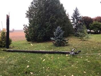 A downed tree snapped a hydro pole at 2984 Churchill Line Oct. 27, 2019 (Photo from Bluewater Power via Twitter)